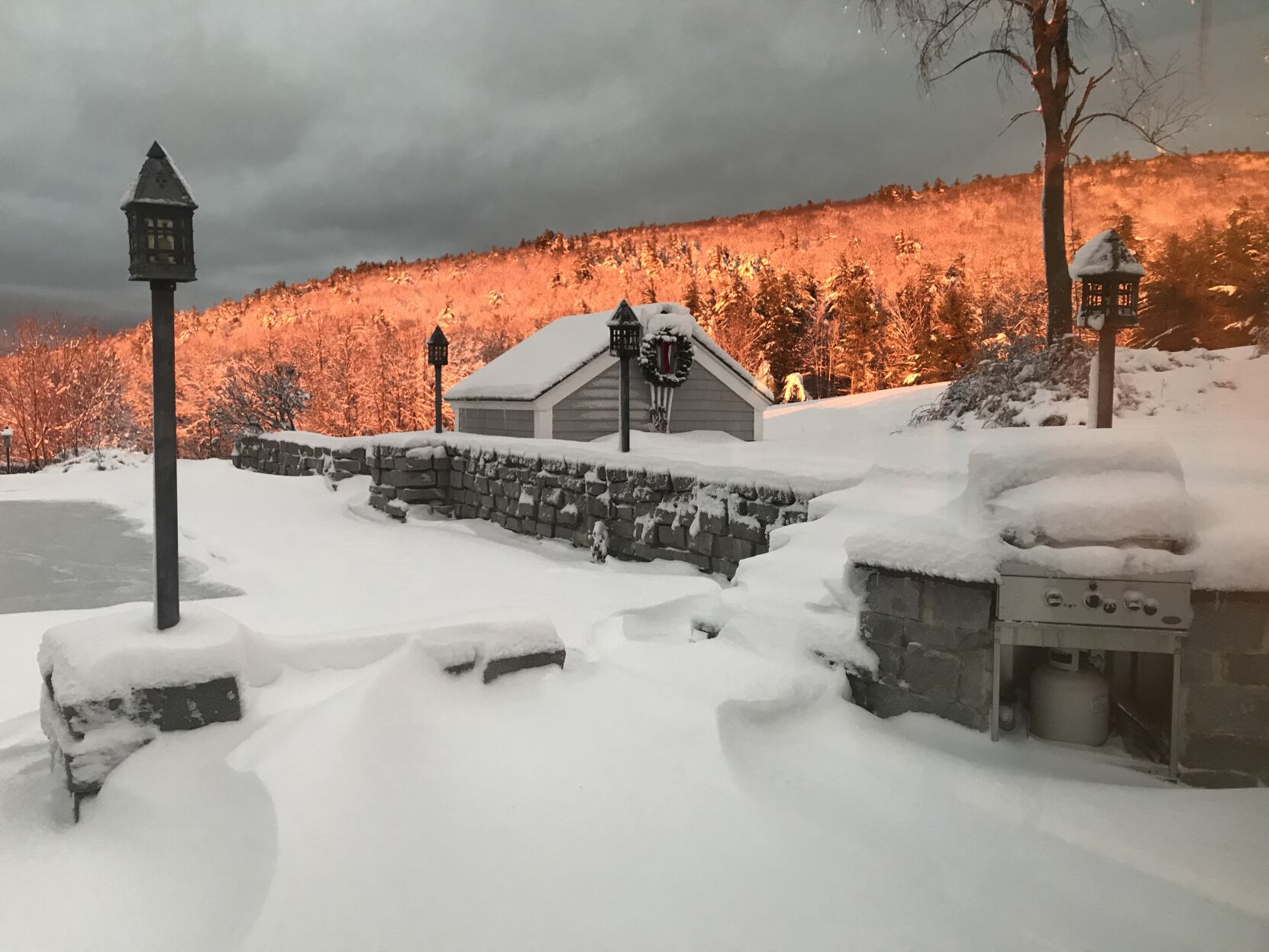 Reader Pics: Feb. 17